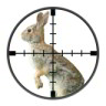 Članski avatar